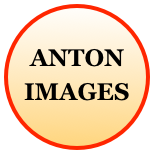 ANTON IMAGES