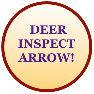 
 DEER
INSPECT 
ARROW!
ARROWlivepage.apple.com
INSTALLATION
PICTURES